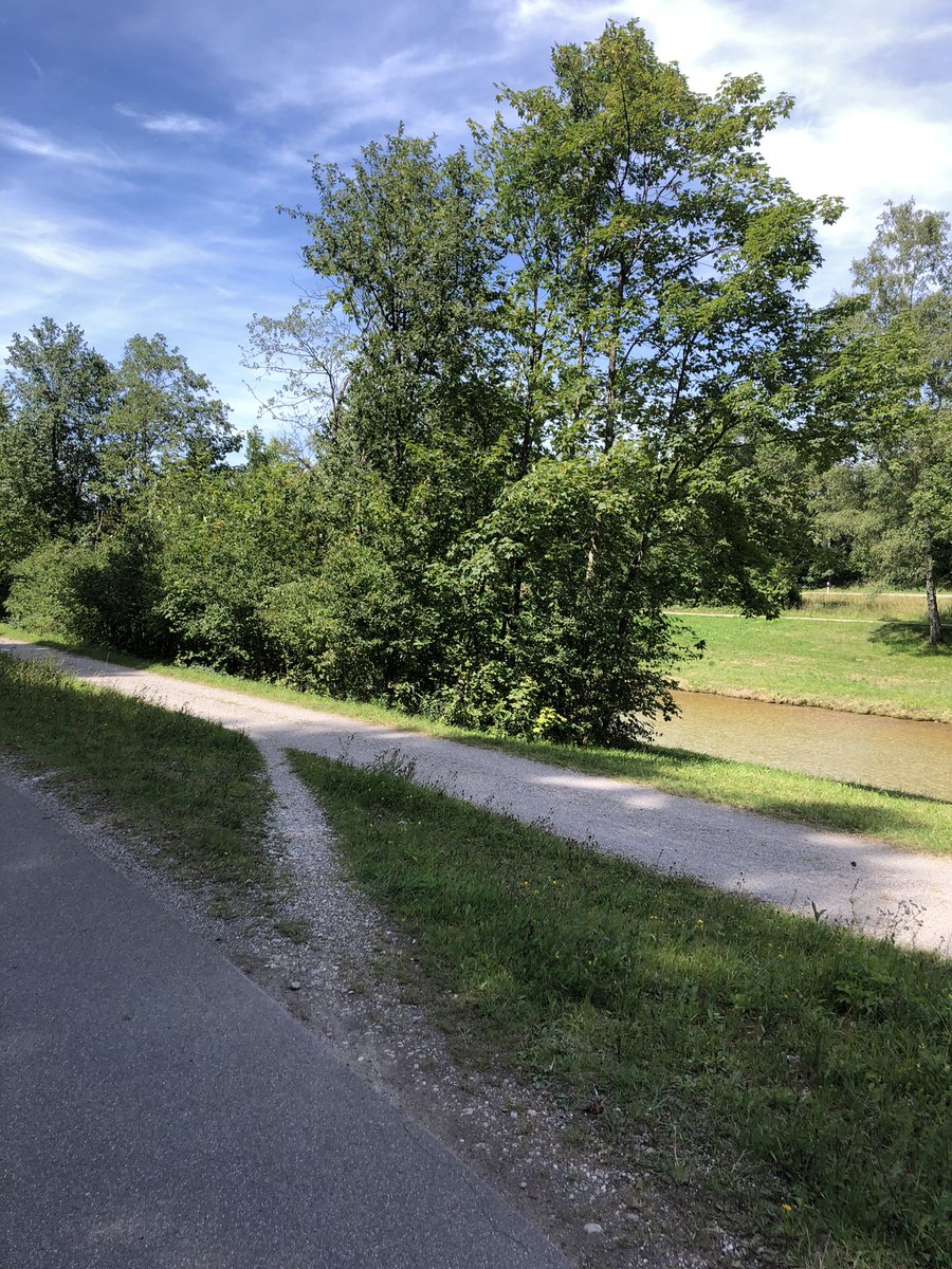 desirepath_look's tweet photo. Oberammergau, Bavaria
#desirepath #urbanplanning #bavaria #oberammergau #bikelane https://t.co/g3eyNhbATq