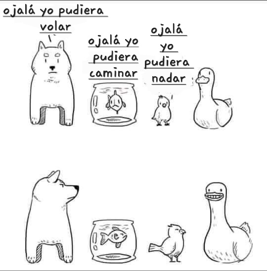 bgplwk's tweet photo. Pero siiii #paTodo lo puede https://t.co/FjAr76UpXw