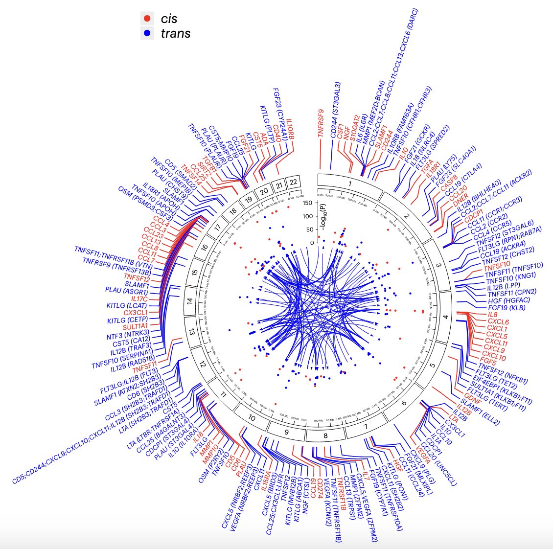 MariosGeorgakis's tweet image. GWAS on 91 circulating inflammatory proteins in 14,824 participants using the #Olink Target Inflammation panel by #SCALLOP @NatImmunol. Excellent resource for MR and colocalization analyses also for cardiometabolic disease rdcu.be/djb6y