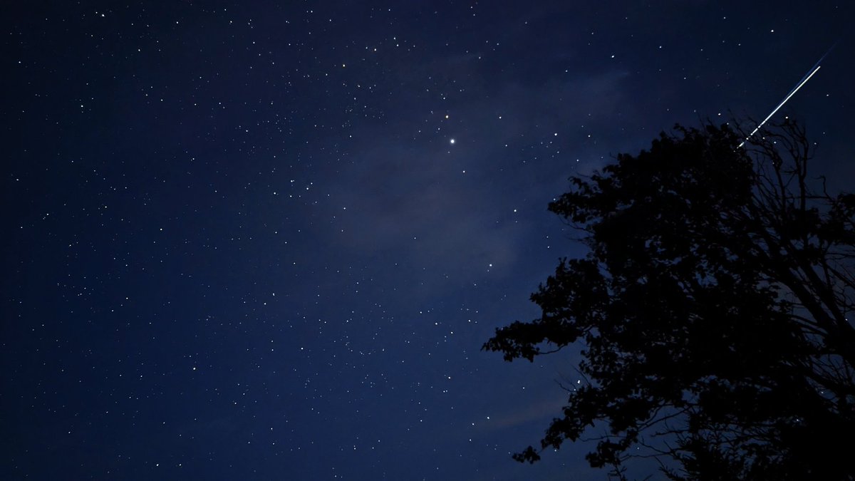 NeilBenedict215's tweet photo. I was fortunate enough to observe the Persied Meteor Showers last night. Some were very bright,  some zipped across the night sky. None were caught by my phone, but that's ok.
I did manage to capture the Starlink satellites. https://t.co/3T1q7xkwR5
