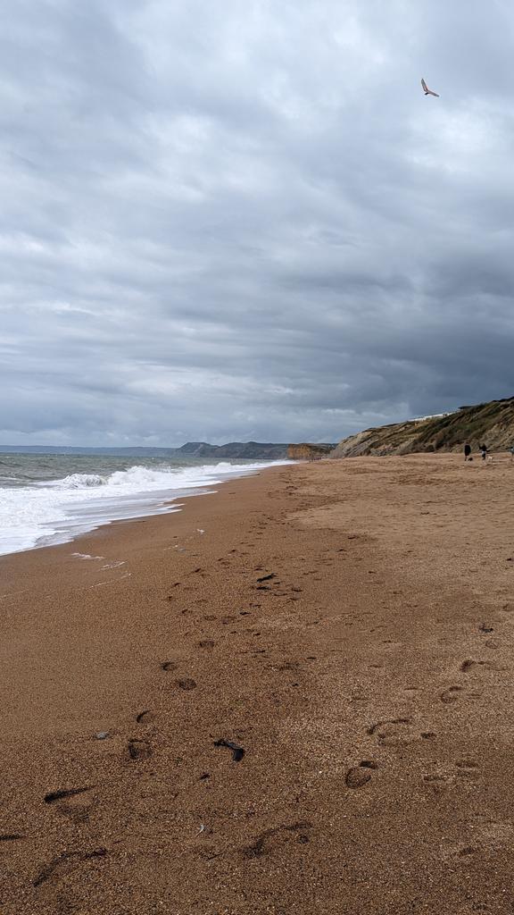 angharadriddoch's tweet photo. Burton Bradstock this afternoon 🌊

(If you look close enough in the background you'll see how huge the landslip is 😶) #seatown #dorset https://t.co/C9XEx0BWWJ