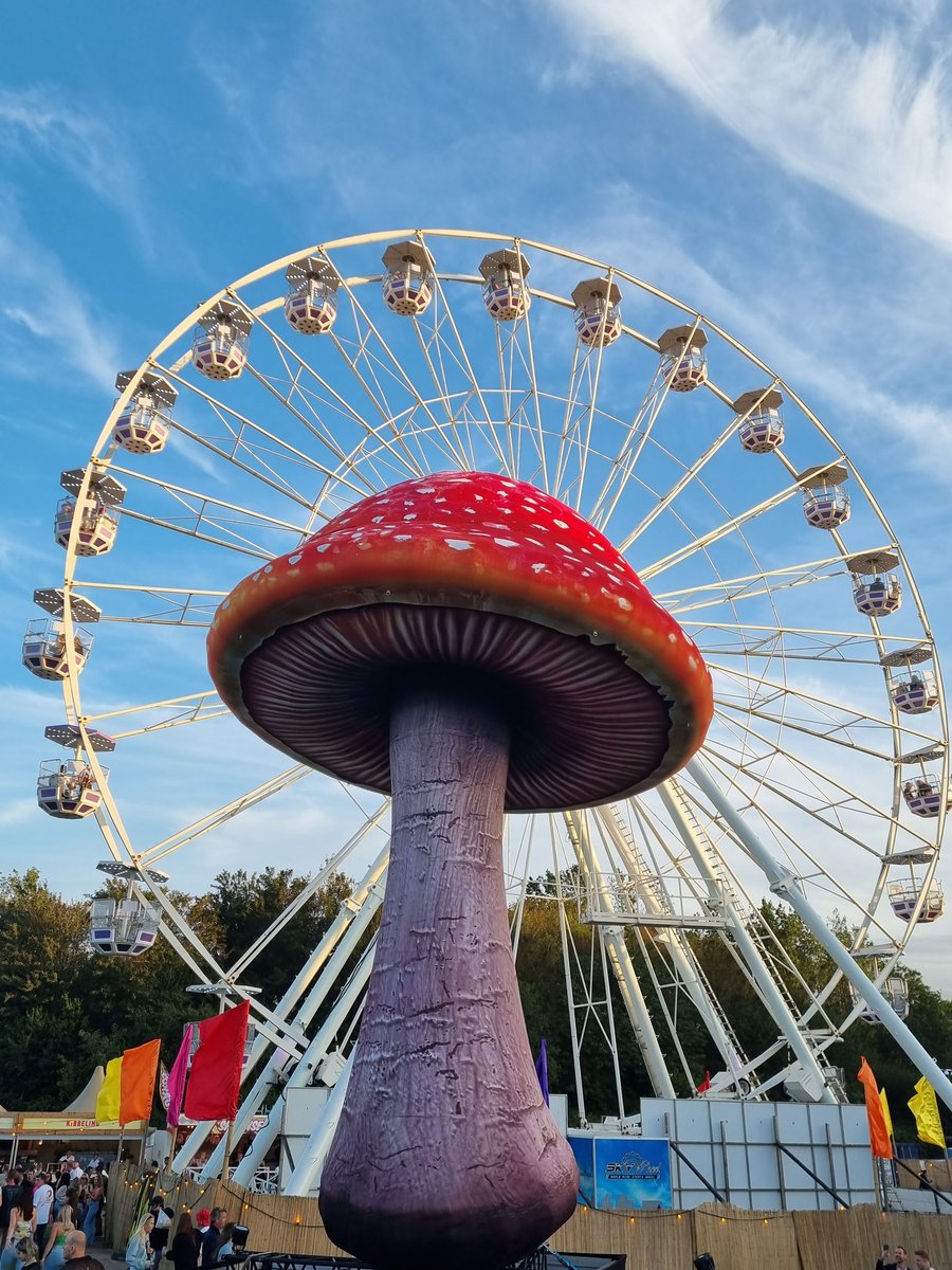 DeniseMauricio8's tweet image. Gisteren ouderwets genoten op Dance Valley! Ferry Corsten draaide weer een heerlijke set. Hup voetjes van de vloer en heupjes los.En nog lekker weer gehad ook. Goede sfeer. Eten en drinken was ook goed geregeld. Jammer geen koffie.
#dancevalley #spaarnwoude #ferrycorsten #tiesto