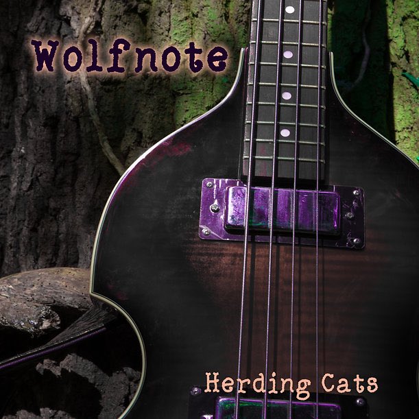 Currently listening to ‘Herding Cats’ by @folk_note Apple Music apple.co/45rtYCk Spotify spoti.fi/3KCpb90 #HCTSFest #rdgmusic #music