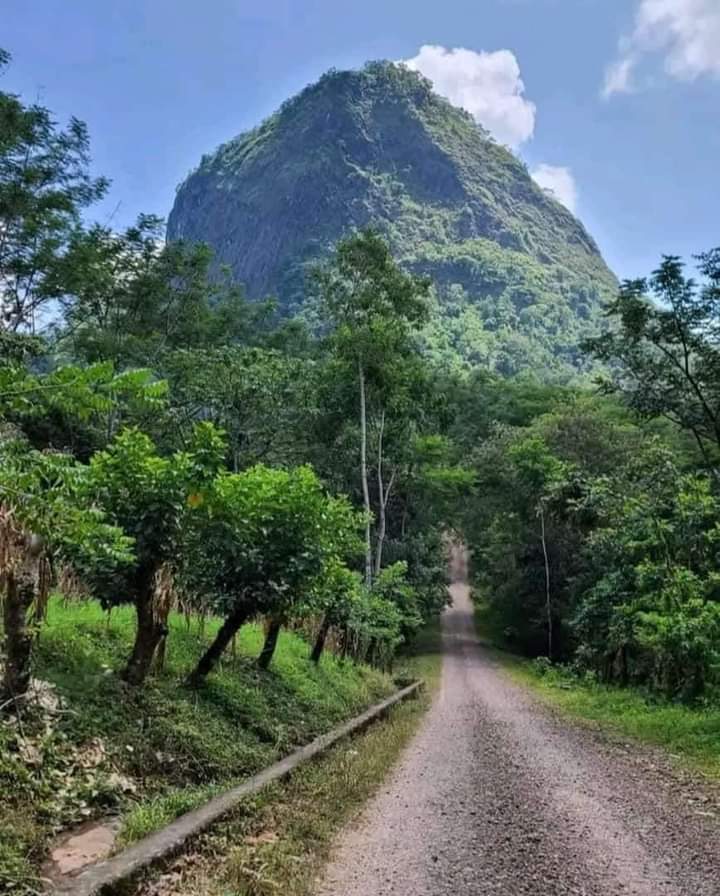 ¡Muy buenos días! Que este domingo la pasen feliz en compañía de tu familia y amigos. Que tengan un maravilloso día.

📷 Gallo Pinto NIC. Cerro Colorado, en el municipio de Matiguás, Matagalpa.