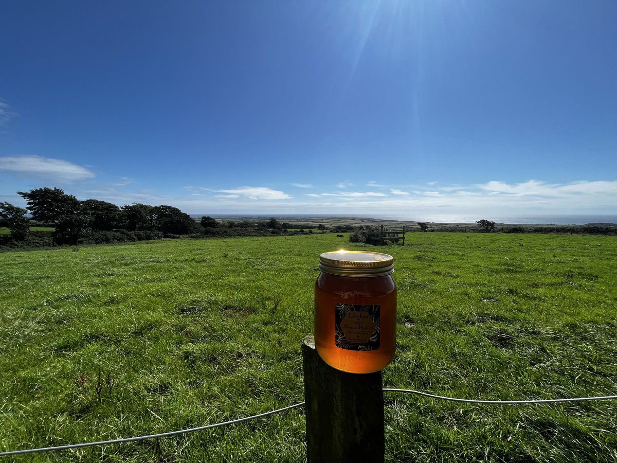 Just had our 1st delivery of honey produced on our meadow! Chief tasters (the kids) say it’s the best honey they’ve ever tasted! Good luck to Linda and Tom that have the bees here in their venture!