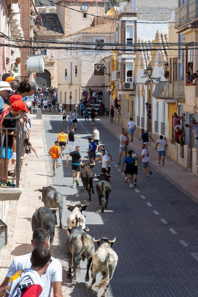 Ayuntamiento Blanca tweet media