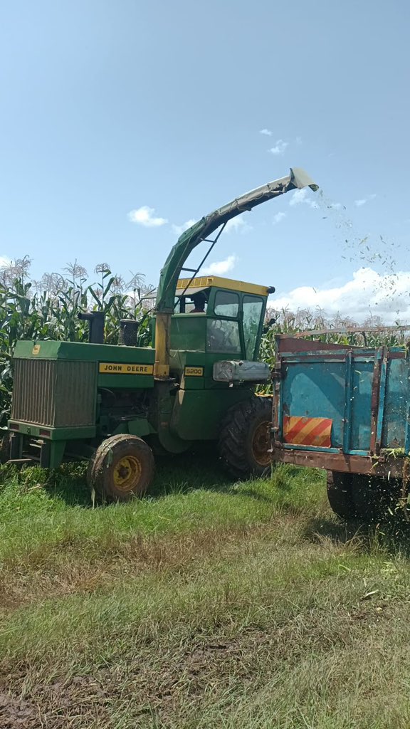 weskorir's tweet photo. It is that time of the year. Silage making time for dairy. Don’t worry we saved enough also for feeding the nation and lower the cost of living. https://t.co/uby730b97I