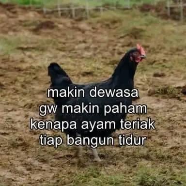 sosmedkeras's tweet photo. https://t.co/TNza9nu7yG