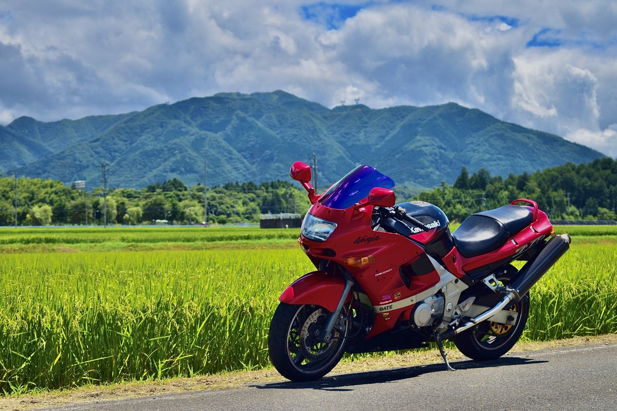 友ちゃん ページ Amazon.co.jp: 全力回避フラグちゃん! ライトノベル 1-7巻セット