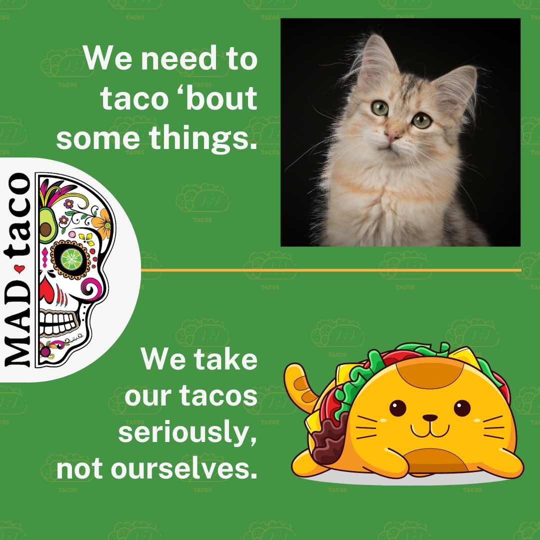 MAD Taco, come for the food, stay for the puns.