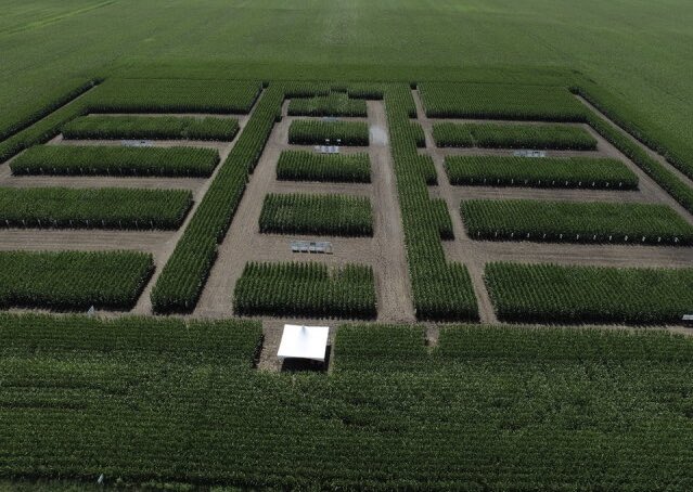 Mike Kavanaugh tweet media