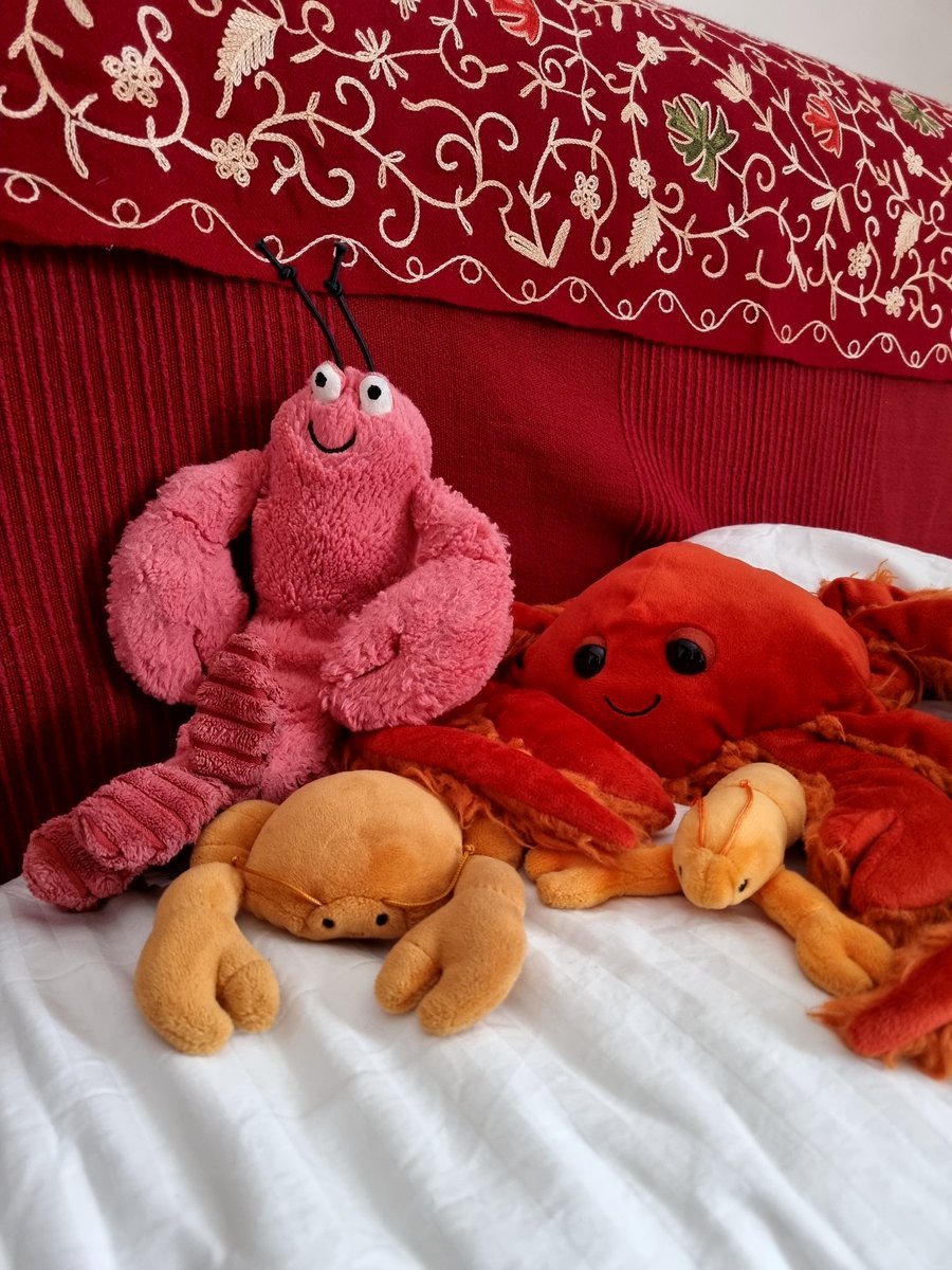 The Lobster Loves team has arrived at #edfringe 2023! And we're looking for shows to review (there's plenty of lobster and krill to give out!) Who wants the crustacean nation in? 🦀🦞🦐 #fillyerboots #fillyerpincers? #review