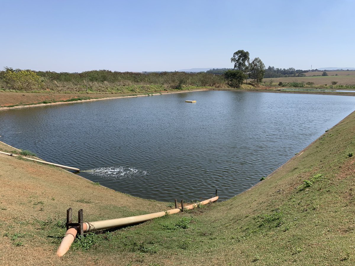 A new ultrasonic buoy model BA87 Solar has been deployed for BRKAmbiental at Santa Gertrudes, SP, Brazil. 
The buoy will control the concentration os Cyanobacteria to respect limits for the outcome efluente. 
Do you steel use chemical
In your process?
#brkambiental #saneamento