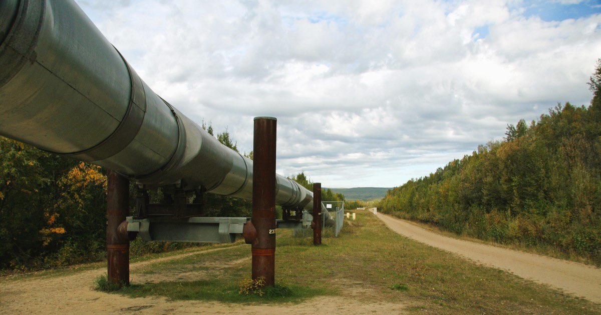 roydadnaft's tweet photo. According to a #fact_sheet by the #Canadian_Energy_Centre, 96% of #Canadian #oil and #gas firms are small #businesses that have between 1 and 99 #employees.
https://t.co/NLvAHG8r8E
#MohammadSadegh_Razmi
#Roydad_Naft_News_Agency https://t.co/wdaAa5XP0Y