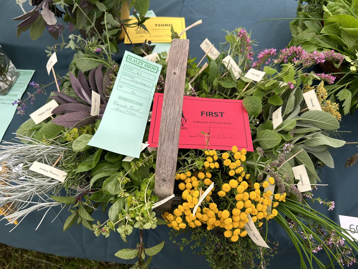cottage1863's tweet photo. A few of the winners at #Slaley Show yesterday - super ππ
Got me thinking about next year π€ https://t.co/LB4h6FYwtG