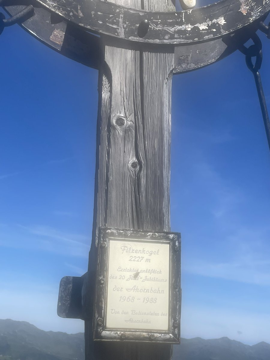 Kenny koala tweet media