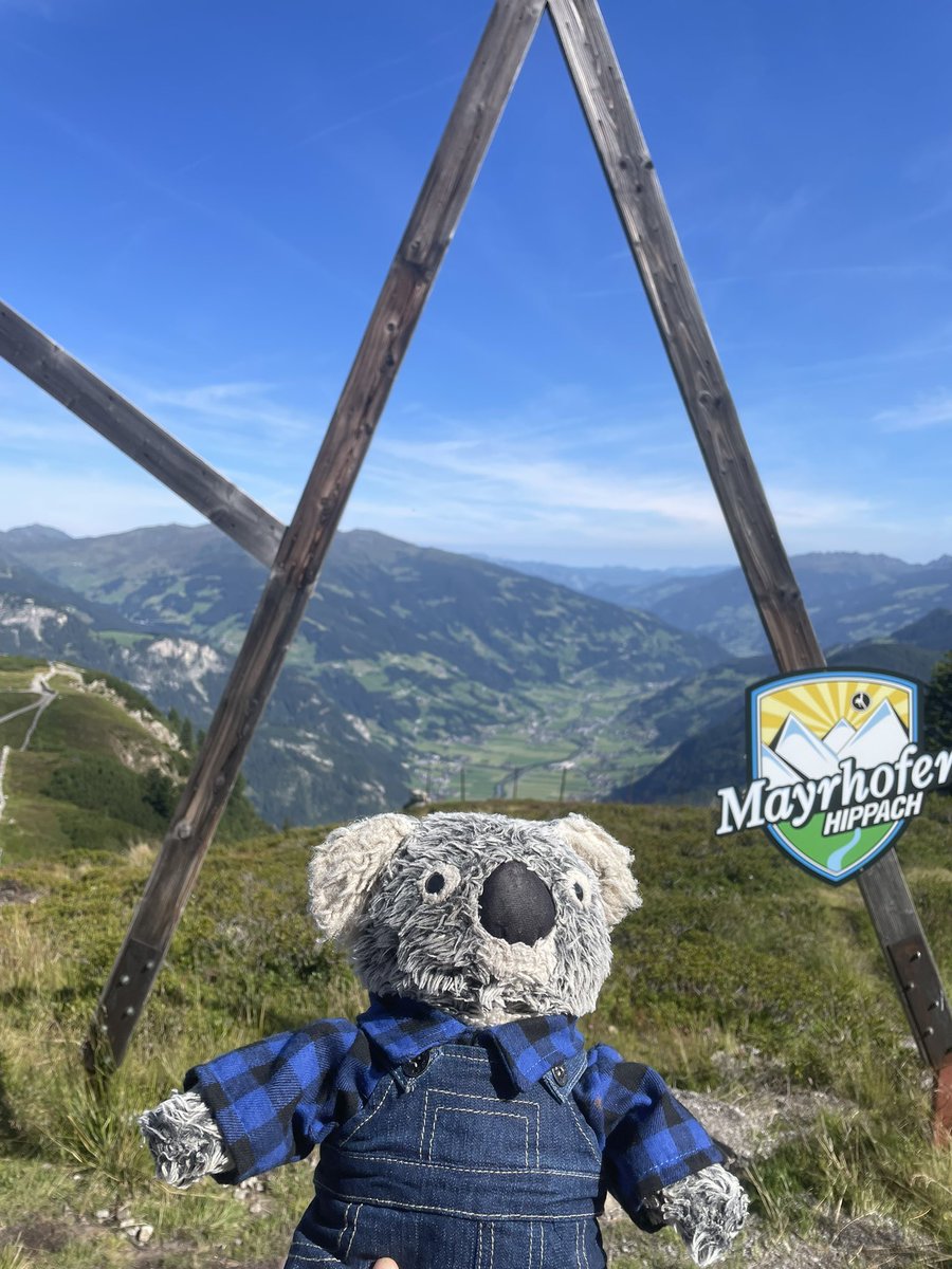 Kenny koala tweet media