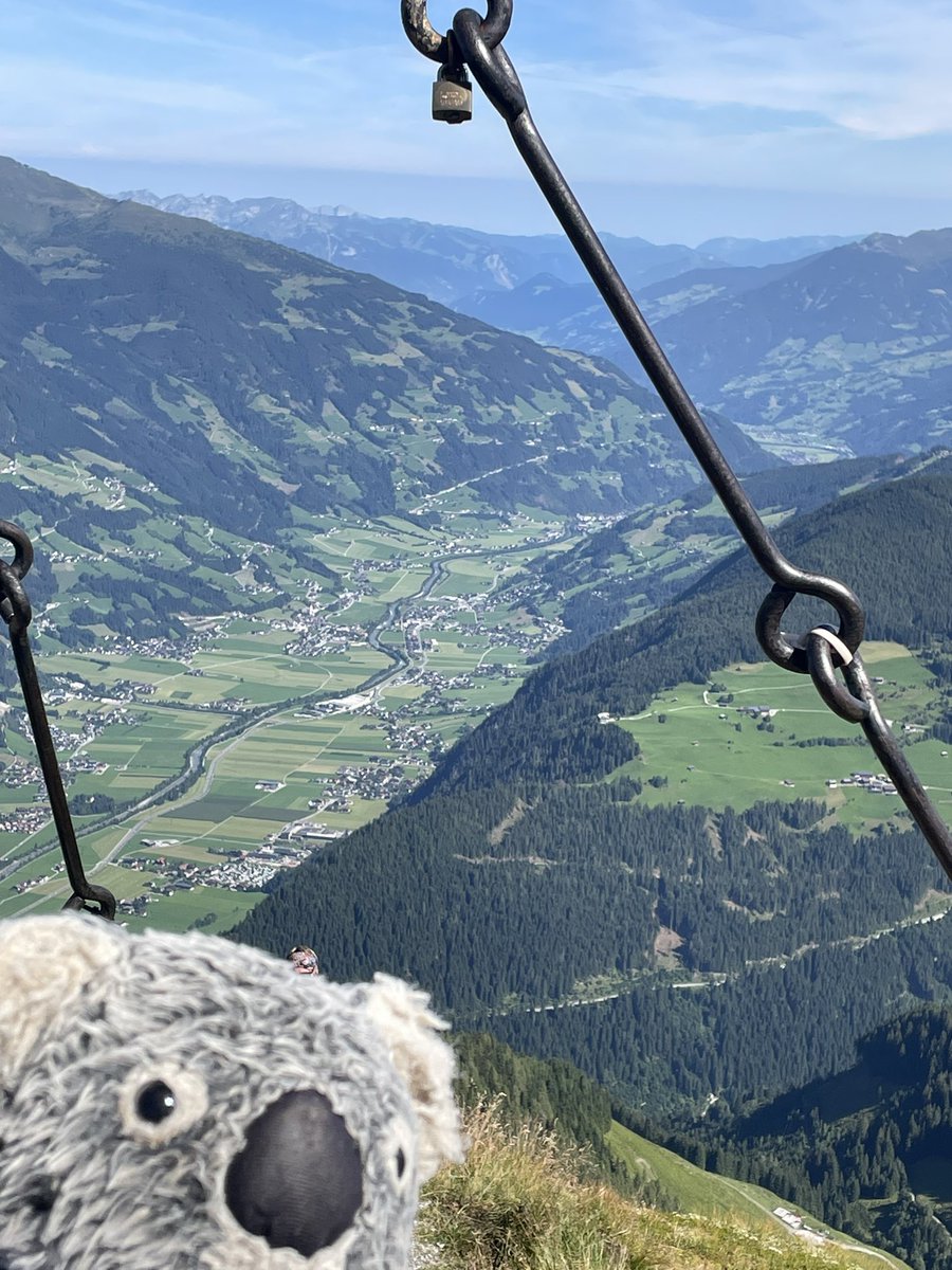 Kenny koala tweet media