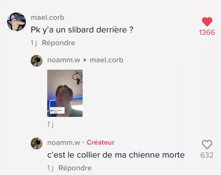 _sombrinternet's tweet photo. C’est impossible de détester TikTok https://t.co/50eQYjNscQ