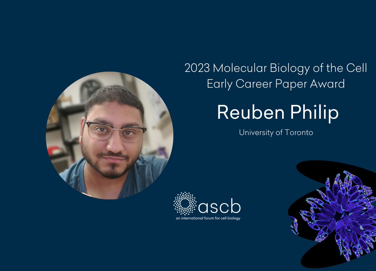 American Society for Cell Biology (@ascbiology) on Twitter photo Reuben Philip, <a href="/UofT/">University of Toronto</a> has won @MBoCjournal Early Career Paper Award for
“Terminally differentiated osteoclasts organize centrosomes into large clusters for microtubule nucleation and bone resorption.”
molbiolcell.org/doi/10.1091/mb…
<a href="/reuben_phi/">Reuben Philip</a> Reuben Philip, <a href="/UofT/">University of Toronto</a> has won @MBoCjournal Early Career Paper Award for
“Terminally differentiated osteoclasts organize centrosomes into large clusters for microtubule nucleation and bone resorption.”
molbiolcell.org/doi/10.1091/mb…
<a href="/reuben_phi/">Reuben Philip</a>