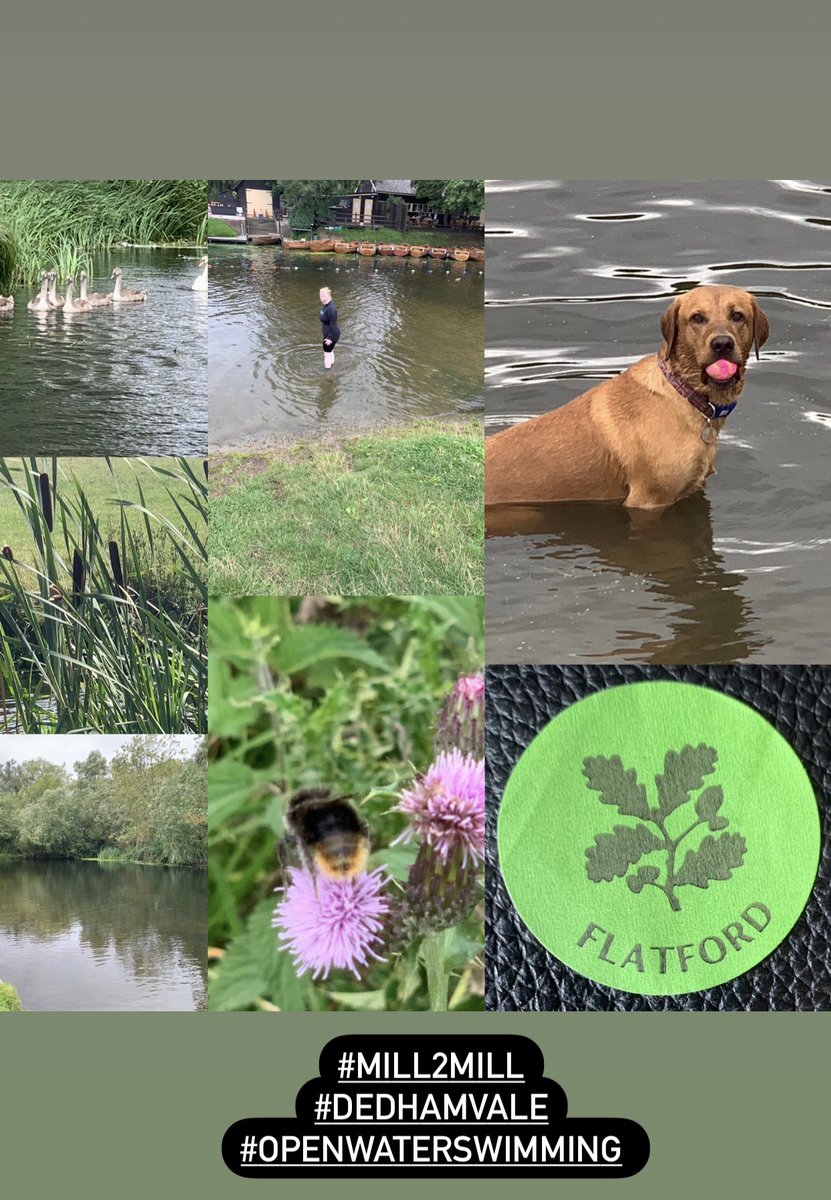 bearbaergrowl's tweet photo. #Mill2Mill swim this morning was a balmy 2.3k in a boiling 19degsC- was nice to meet some fellow swimmers- excellent organisation- weedy but clear water- was pleased with my time! Now for a pint! #coldswim https://t.co/zpoxeU2H0K