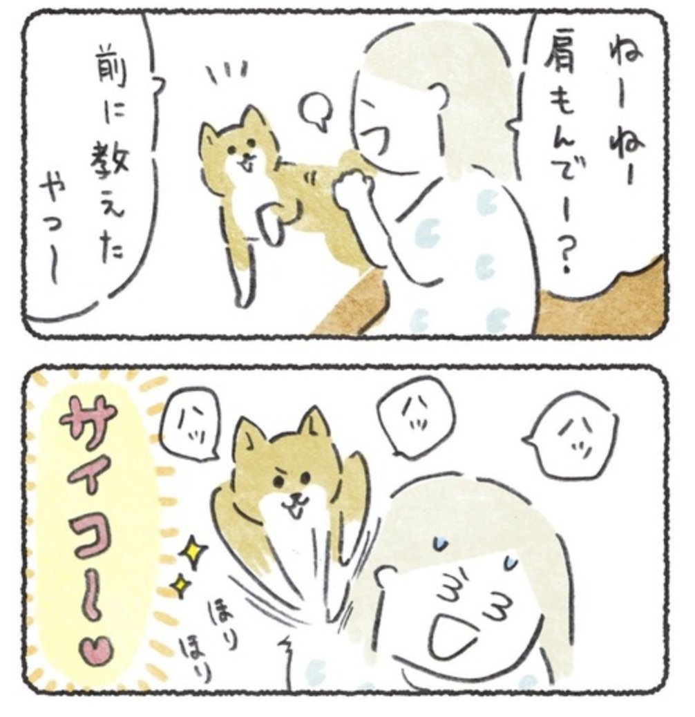 仕事おわりに犬におねだり🙏💕 