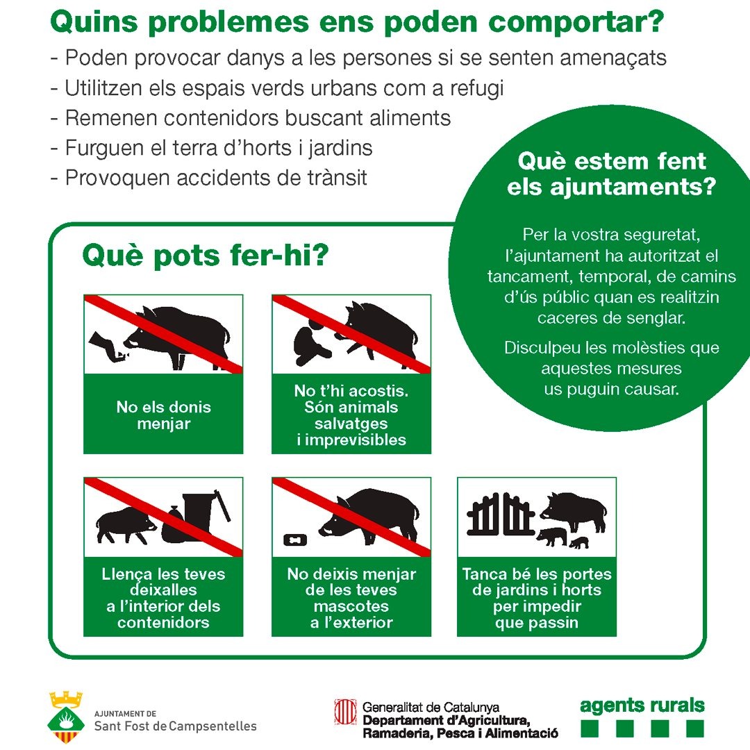 Ajuntament de Sant Fost tweet media