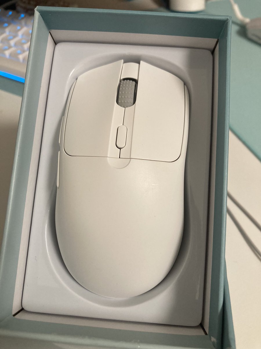 Phylina S450 届いた〜！
HTSクローンで形状お試しする
マウスソールと付属してるグリテは終わってるけどマウス本体のクオリティはだいぶ良さげ