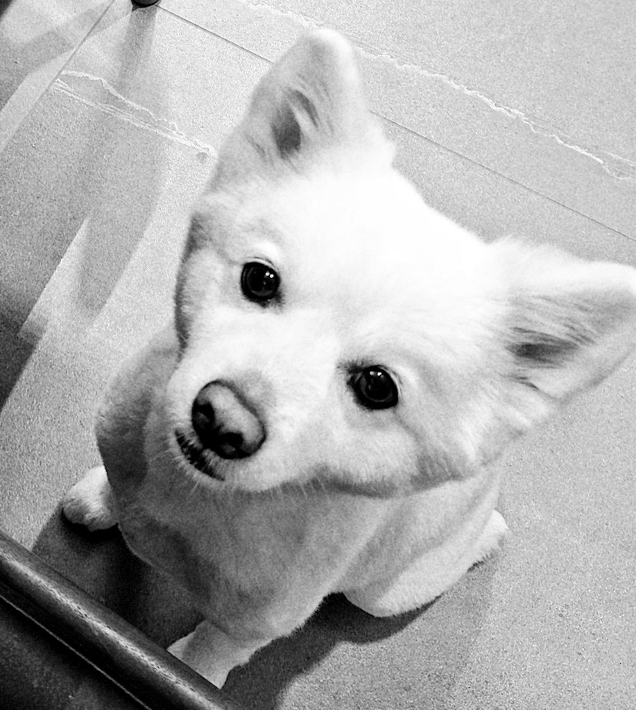 RAPMON_PH's tweet image. Fly high, 모니~ 🤍