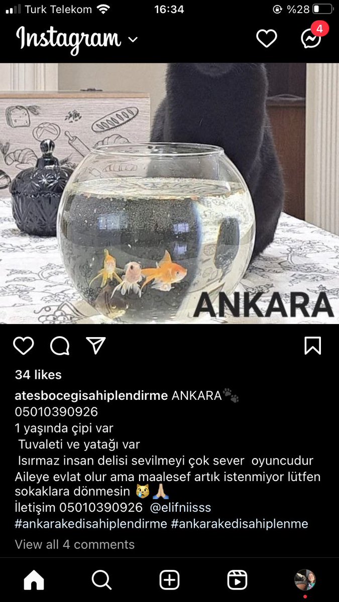 Yok mu bu güzel çocuğu kurtaracak :(