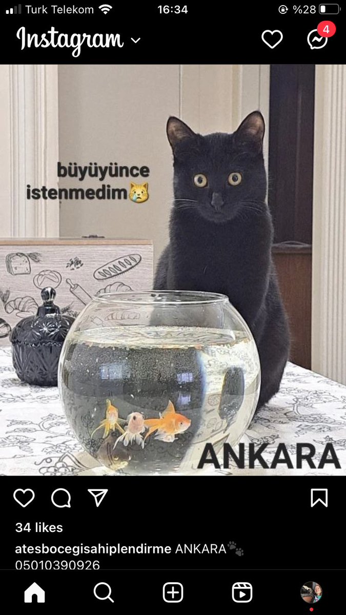 kusumkus's tweet photo. Yok mu bu güzel çocuğu kurtaracak :( https://t.co/ne4LRkS5yM