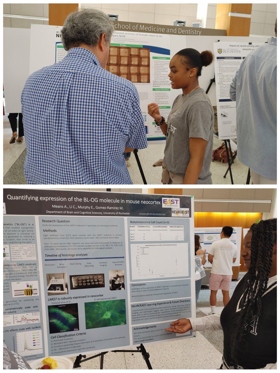 MLHSCook's tweet photo. These @EastEpo scholars rocked their first poster session discussing the research they conducted this summer as part of the #NeURoEast program! Great job to all!! #CTE #CultureIsContagious https://t.co/B4BT4JxxpN