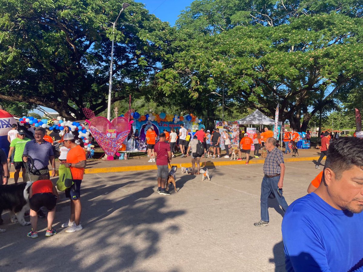 xevtfm's tweet photo. 🐶🐾 En breve iniciará la cuarta edición de la #Caninata organizada por la asociación @caninos911 en contra del maltrato animal https://t.co/uamUag2gfl