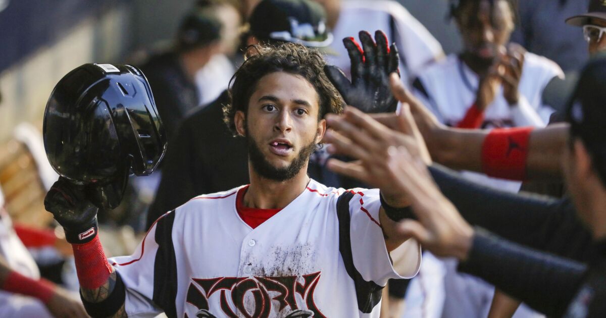 RonBohning's tweet photo. Minors: Samuel Zavala hits 13th homer; Brett Sullivan, Rangel Ravelo fuel El Paso #SportsNewsletter https://t.co/IQkX0CESOn https://t.co/yCaTJBflko