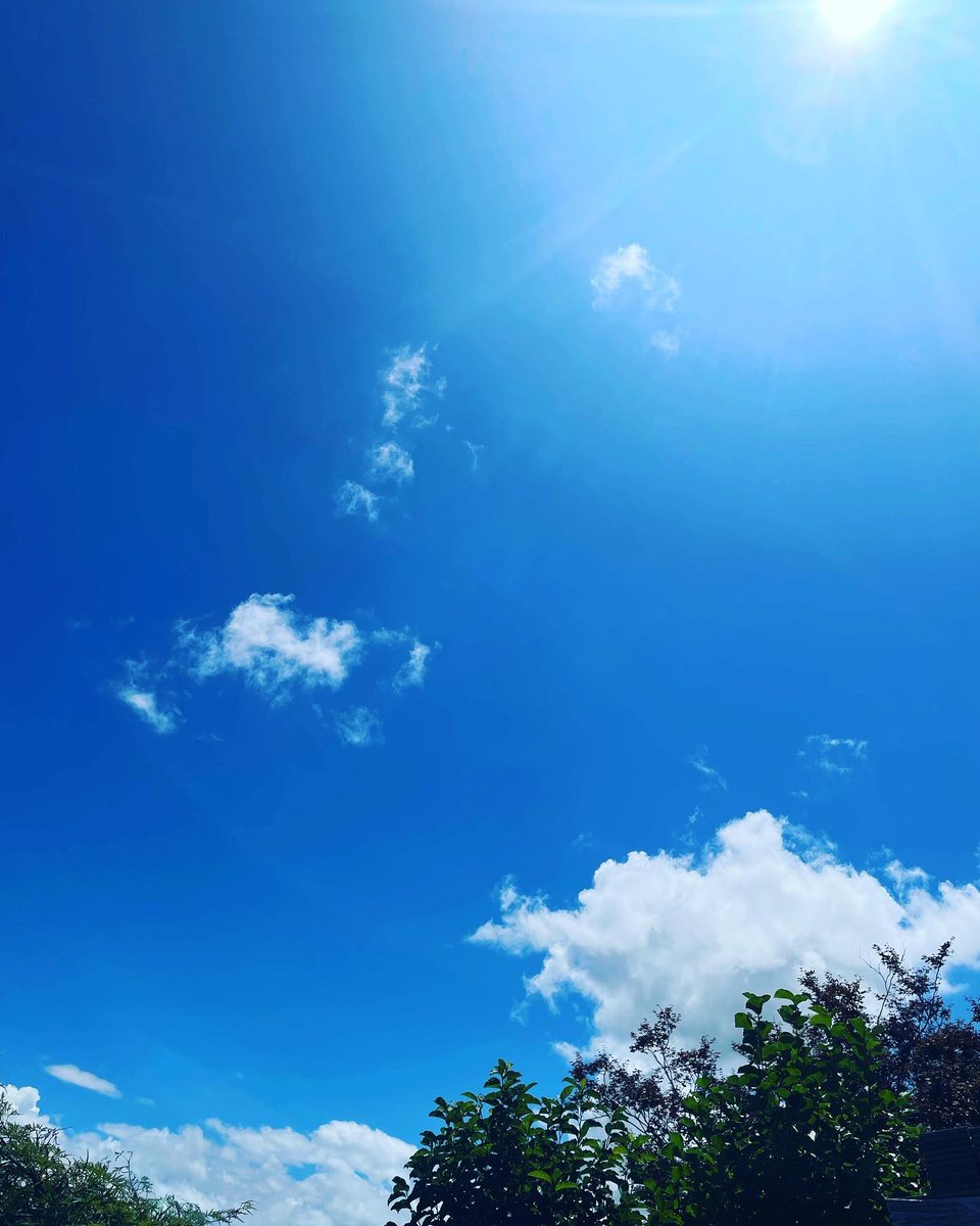 kanzax84's tweet photo. お盆。 https://t.co/vvsoyMBM8x