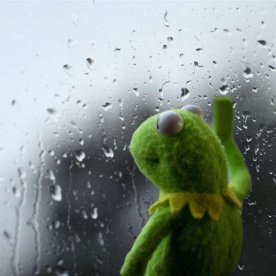 AceTrainerBenMc's tweet photo. @Lewchube when they announced detective pikachu 2 instead of pokepark 3 https://t.co/jyp9iF9pzz