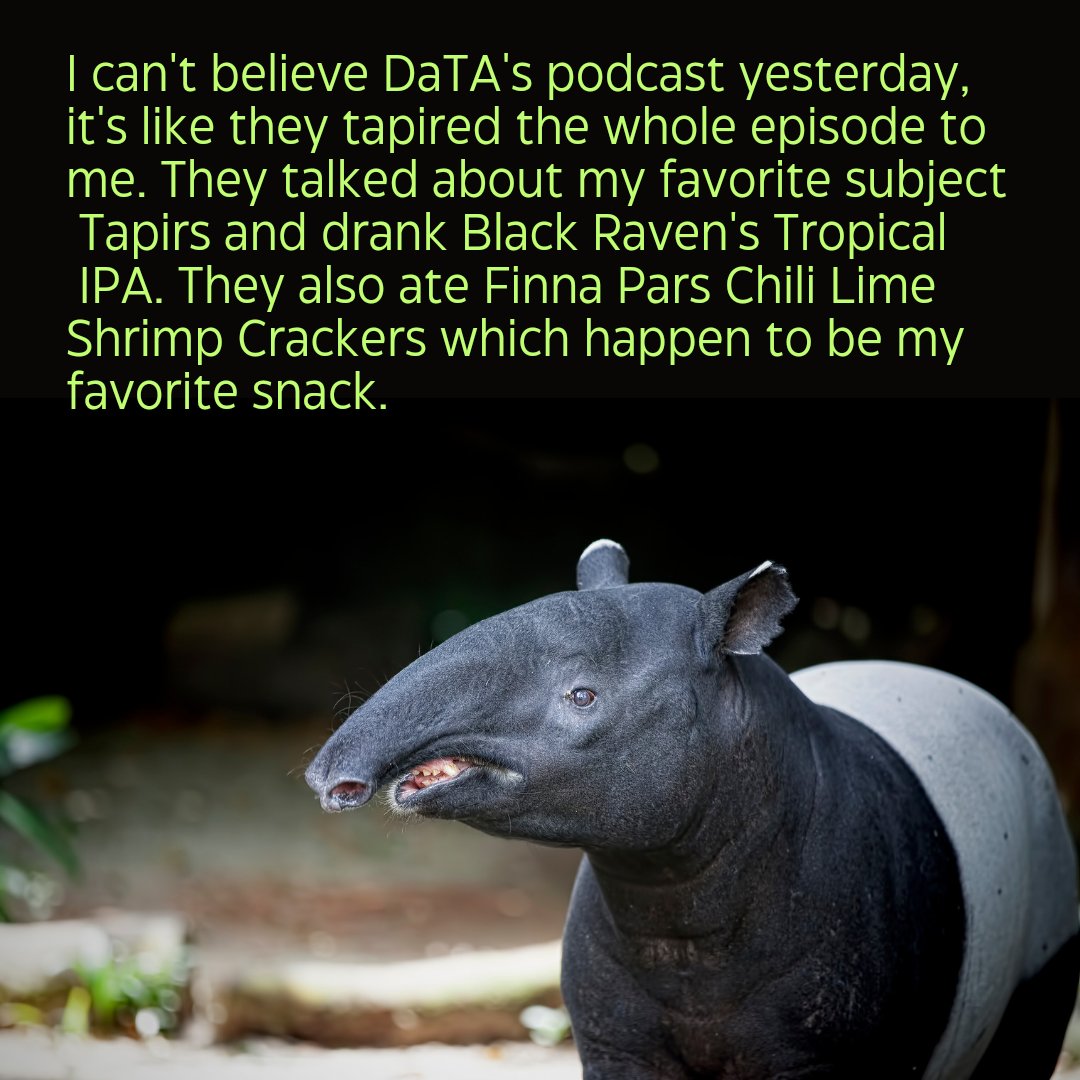 Drinking and Talking Animals tweet media