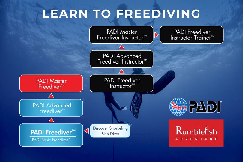 #padi #rumblefishadvanture #rumblefishvietnam
#freediving #diving #underwater #freedive #ocean #apnea #scubadiving #freediver #freedivingphotography #onebreath #padi #diver #freediverlife