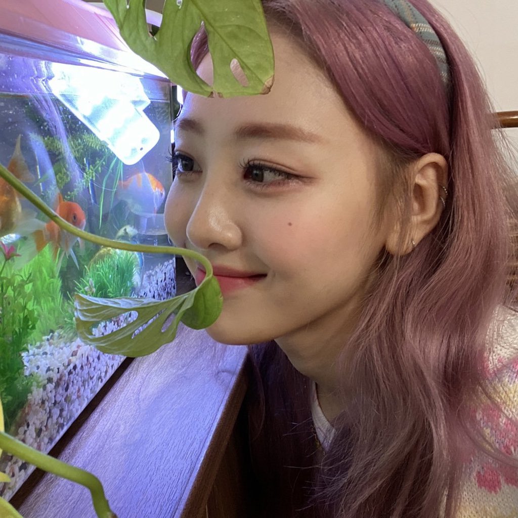 hourlyyves's tweet photo. https://t.co/iCZs17rJQg