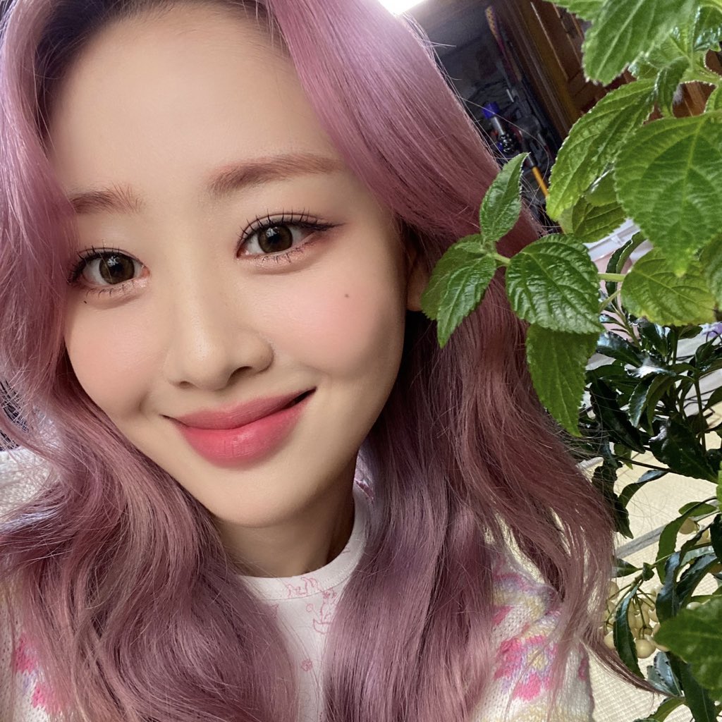hourlyyves's tweet photo. https://t.co/iCZs17rJQg