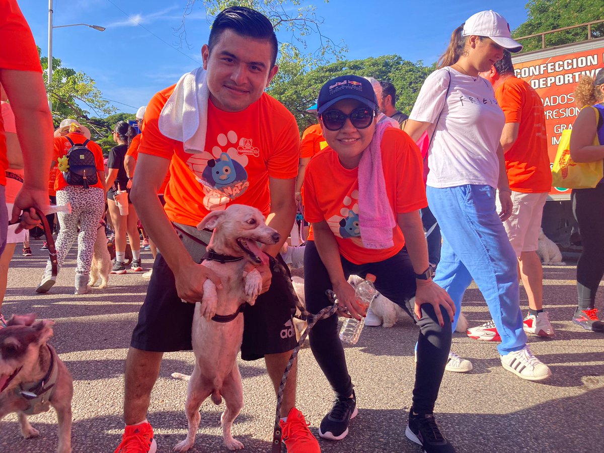 xevtfm's tweet photo. #EnFotos 🥰🐶 ¡Mañana perruna!
Decenas de perritos protagonizan la #Caninata organizada por @caninos911 en contra del maltrato animal 🐕🐾 https://t.co/yOnMAKY434