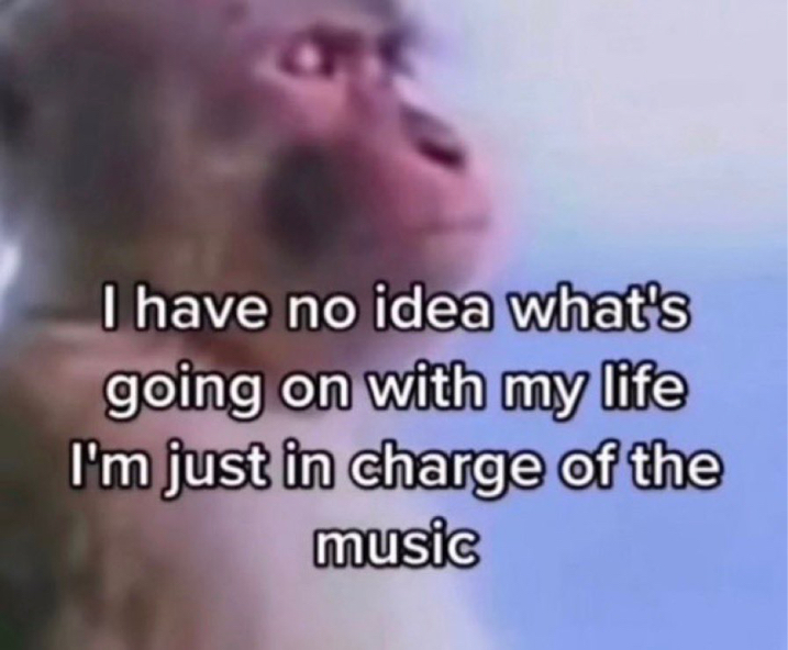 NO CONTEXT HUMANS (@humansnocontext) on Twitter photo 