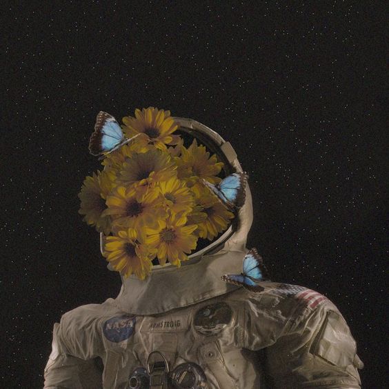 Wannawave (@wannawave) on Twitter photo 