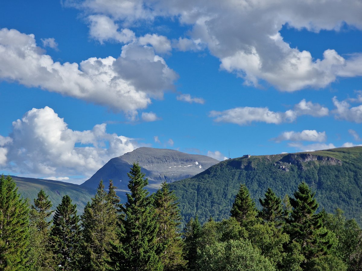 Meteorologene's tweet image. I dag måler Vervarslinga i Tromsø årets 27. sommerdag. Dette er rekord!

Aldri før har det blitt målt så mange dager der temperaturen var 20 grader eller mer 🌡️

2023 går altså forbi 2013 og 1960 som hadde 26 sommerdager hver.

Kan det bli flere?