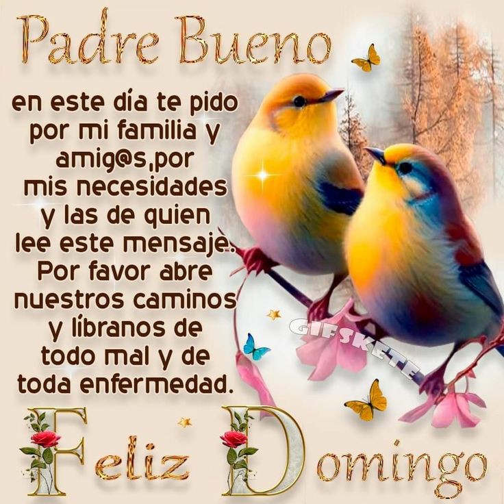 Padre Bueno...Te pido q Abras Nuestros Caminos y nos libres de todo Mal⚘
#VamosARecrearnos
<a href="/NicolasMaduro/">Nicolás Maduro</a> <a href="/Alvarex2808/">Alvarex</a> <a href="/jesus372333/">mildre</a> <a href="/Rextwit12/">Rextwit</a> <a href="/MaianaNoguera/">Maianabelenvolvio</a> <a href="/jmhgomez1/">@Jmhgomez</a> <a href="/marbe789/">Marbe abreu</a> <a href="/Lisbeth62344715/">💖Li$💋</a> <a href="/IralisailC/">Iralisail. Carballo</a> <a href="/yessica02463223/">Yessicom</a> <a href="/Albanis61923370/">Albanis</a> <a href="/Vicky_1511/">🍃🌷Victoria Beauty 💕</a> @nanunsc2 <a href="/ArelisSnchez18/">✨ Arelis Sánchez ✨</a>