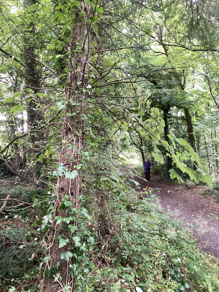 Helen J Smith tweet media