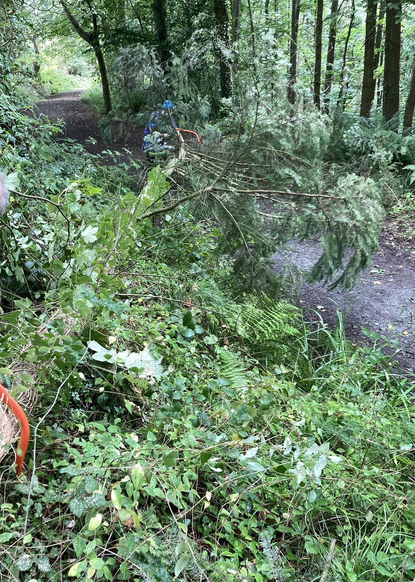 Helen J Smith tweet media