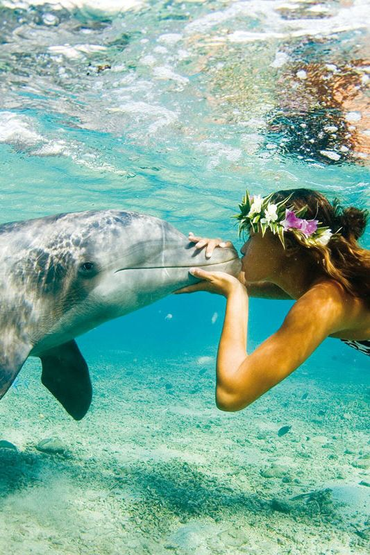VieNatureSavoir's tweet photo. Loving ❤️🦈❤️
#NaturePhotography https://t.co/fz1NKIf9cQ