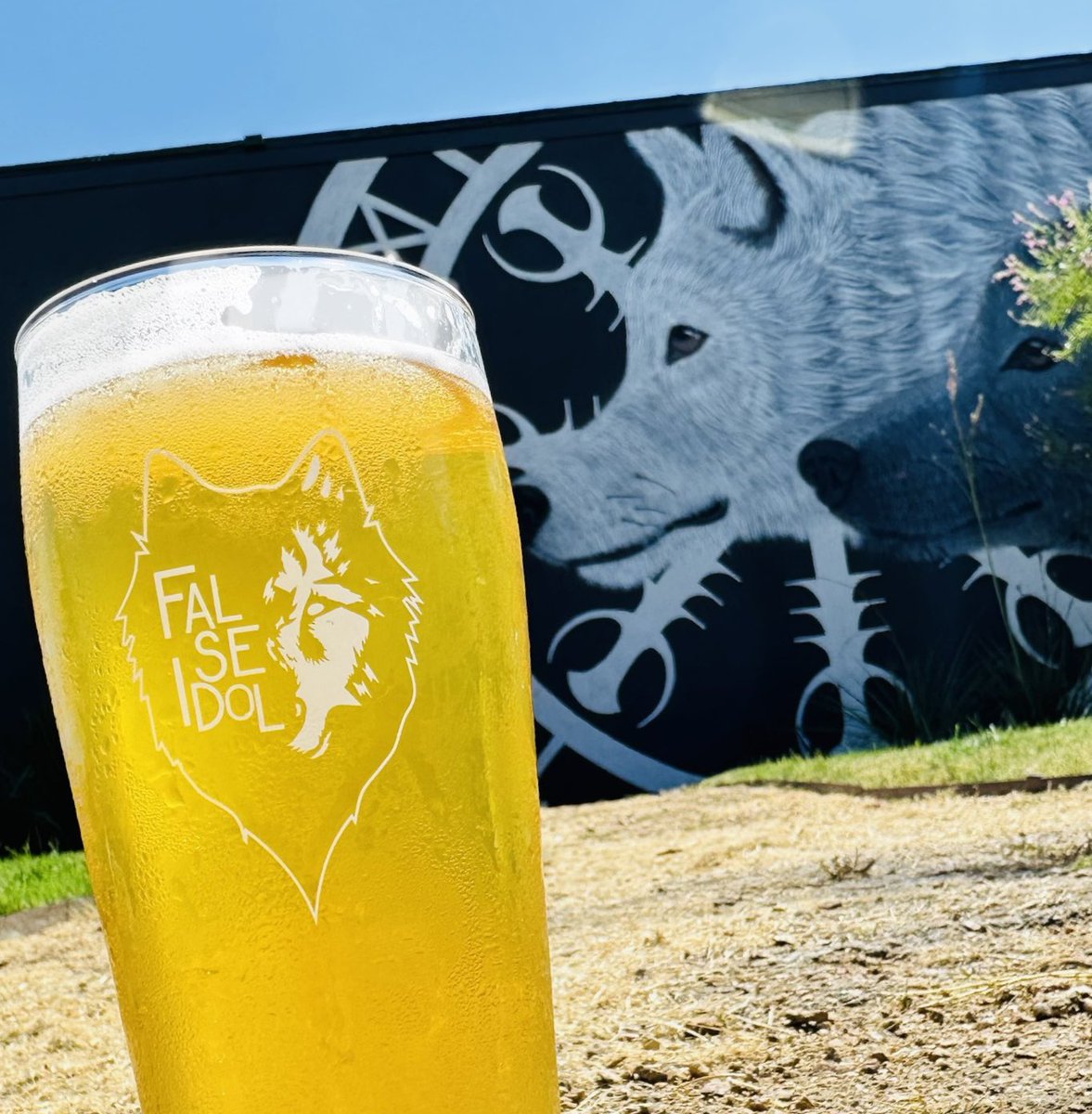 FalseIdolBrew's tweet photo. Take advantage of our Sunday All Day Happy Hour today!
$3 Lagers &amp; Fenris Park
$5 Micheladas, Mimosas &amp; Beermosas

We are open 11am-10pm.

https://t.co/oNrgeVi6Q5

See you soon!

#dfwbeer #falseidol #sunday  #weekend #lager #fenrispark https://t.co/LivH9sPGNE