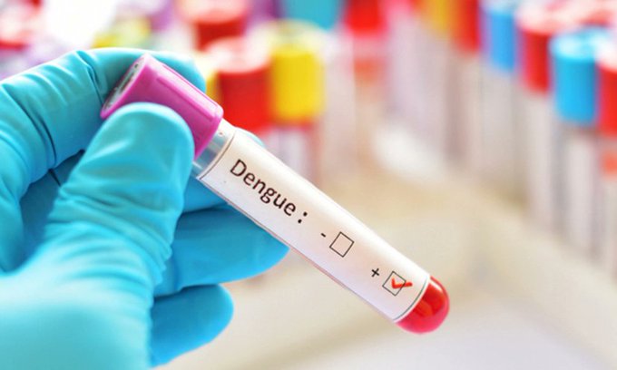 ডেঙ্গুতে আরো ১১ জনের মৃত্যু